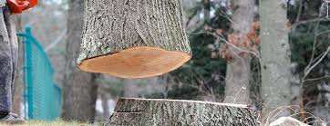 Best Firewood Processing and Delivery  in Oxon Hill, MD
